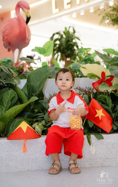Bé Quỳnh Anh mừng Quốc Khánh ở trung tâm thương mại — ảnh 93
